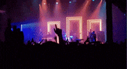 fitz and the tantrums GIF