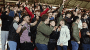 Celebration Fans GIF by Dunfermline Athletic Football Club