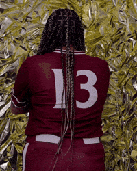 Elon Softball GIF by Elon Phoenix