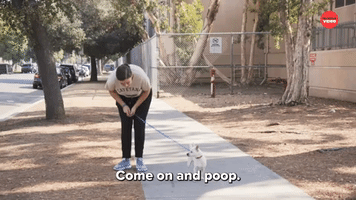 Just Poop