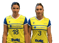 Volleyball Schwerin Sticker by SSCPalmbergSchwerin