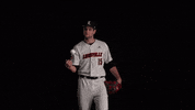 University Of Louisville Baseball GIF by Louisville Cardinals