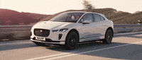 australia jaguar GIF
