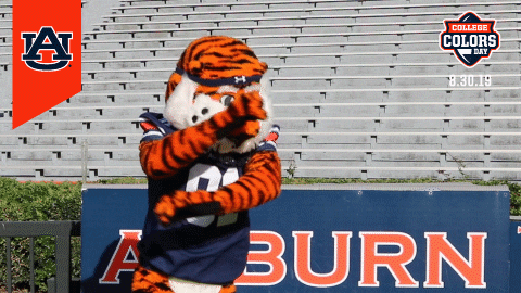 College Football GIF by Auburn University