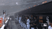 major league baseball sport GIF by MLB