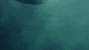 Kim Taehyung Run GIF by BTS