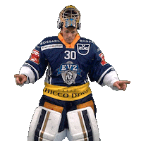 Swipe Up Ice Hockey Sticker by EVZ