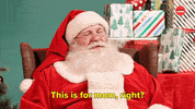 Mall Santa Christmas GIF by BuzzFeed