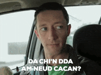 teledu cacen GIF by Carw Piws