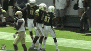 Usf Football GIF by SoFloBulls