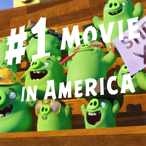 #1 GIF by Angry Birds