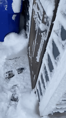 Cars Buried Under Heavy Snow in Buffalo Suburb