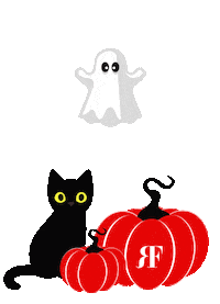 Scared Black Cat Sticker by Rocco Forte Hotels