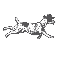 Fort Worth Happy Tails Sticker by Hotel Drover