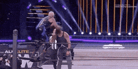 Dustin Rhodes Aew On Tnt GIF by All Elite Wrestling on TNT
