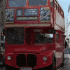 London Flowers GIF by Working Title