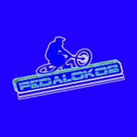 pedallokos bike pedal bike shop bike love GIF