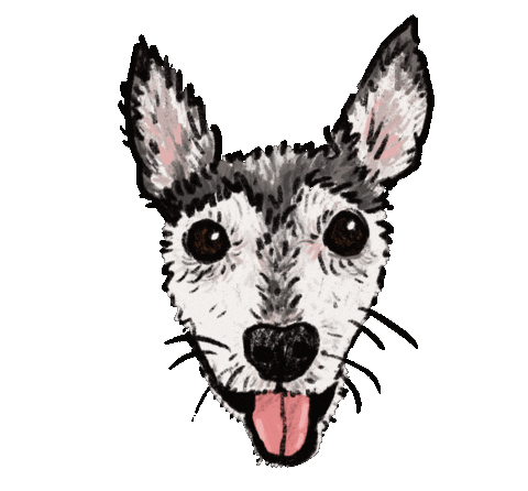 Dog Sticker