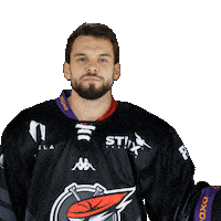 Hokej Smile Sticker by Piráti Chomutov