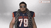 Cnfb GIF by Carson-Newman Athletics