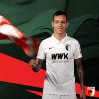 Football Soccer GIF by FC Augsburg 1907