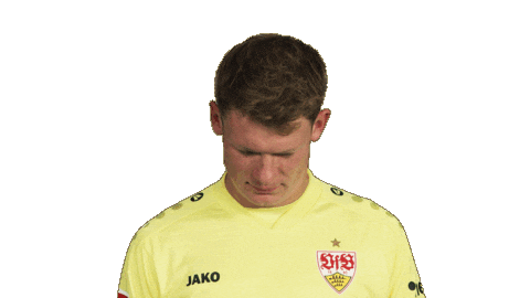 Look Up Vfb Stuttgart Sticker by Bundesliga