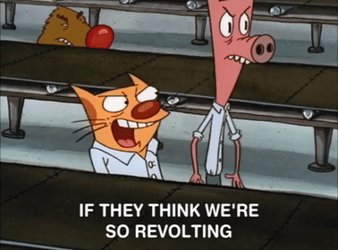 nicksplat GIF