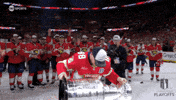 Stanley Cup Playoffs Win GIF by NHL