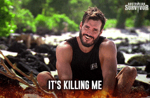 survivorau no survivor survivorau killing GIF