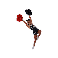 Go Team Cheer Sticker by NewmanUniversity