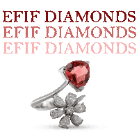 efifdiamonds earing efif efifdiamonds chennaidiamond Sticker
