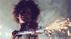 beasts of the southern wild fireworks GIF by 20th Century Fox Home Entertainment