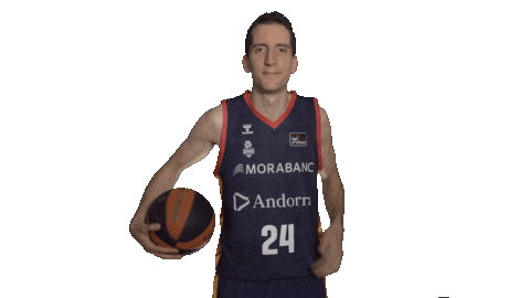 Liga Endesa Basketball Sticker by ACB