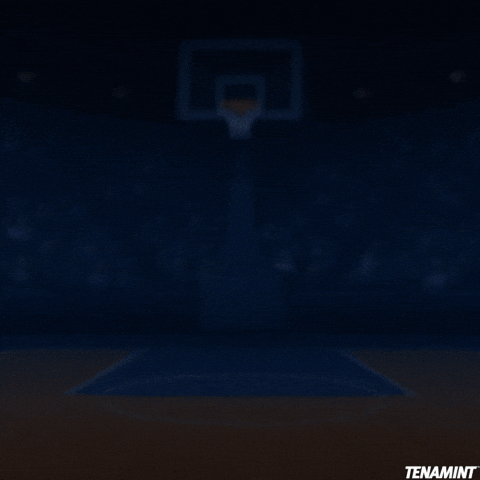 TENAMINT giphyupload pixelart nba hockey GIF