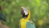 nat geo wild pets GIF by Dr. K's Exotic Animal ER
