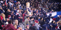 Little Friend fans GIF by Sydney Roosters Football Club