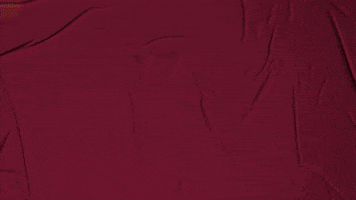 College Baseball GIF by Pearl River Athletics