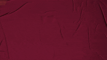 College Baseball GIF by Pearl River Athletics