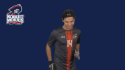 rmuathletics rmu robert morris robert morris university GIF