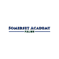 Academica Schools Sticker by Academica