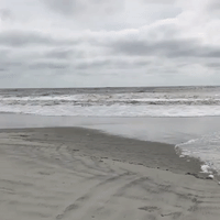 Surfers Catch Florence's Waves in South Carolina