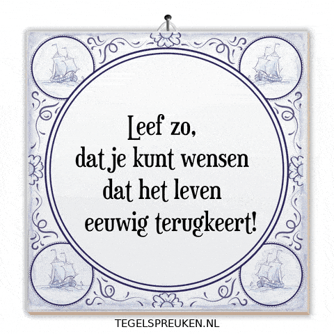 Moment Nl GIF by Tegelspreuken.nl