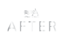 Before And After Hairsalon Sticker by Armandeus Beauty Salon