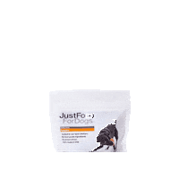 Dog Food Sticker by JustFoodForDogs