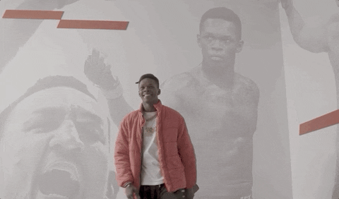 Mixed Martial Arts Sport GIF by UFC