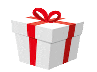 Birthday Surprise Sticker