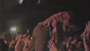 the coin has a say GIF by Every Time I Die