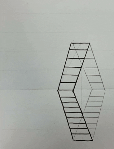 flandrinamaks giphygifmaker anamorphose GIF