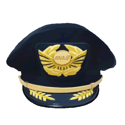 anainsta giphyupload Sticker