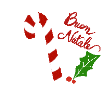 Merry Christmas Santa Sticker
